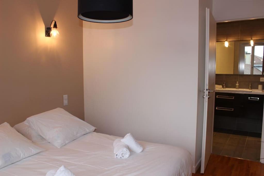 Le Jane : Centre Ville, Garage, Balcon Annecy Exterior foto